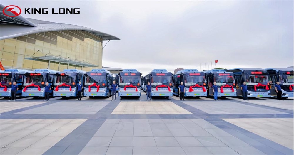 new energy buses