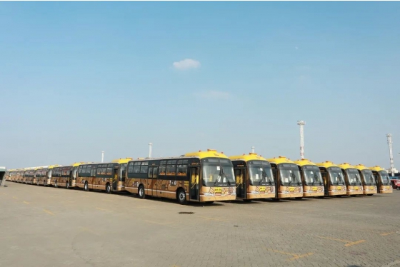 415 Units King Long Buses Embarked on Their Journey to Bolivia